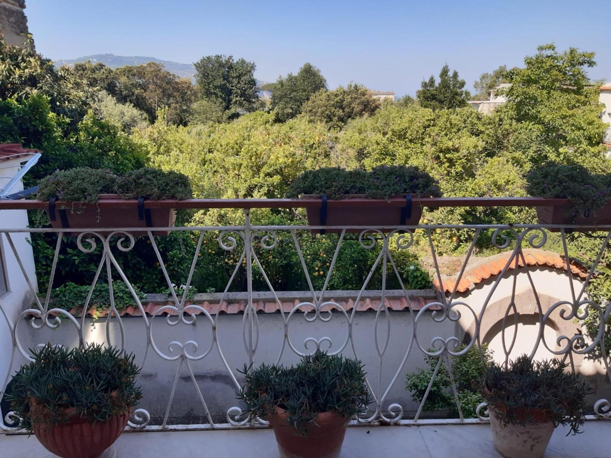 La Casa Di Rosa - Casa Vacanze Meta Eksteriør billede
